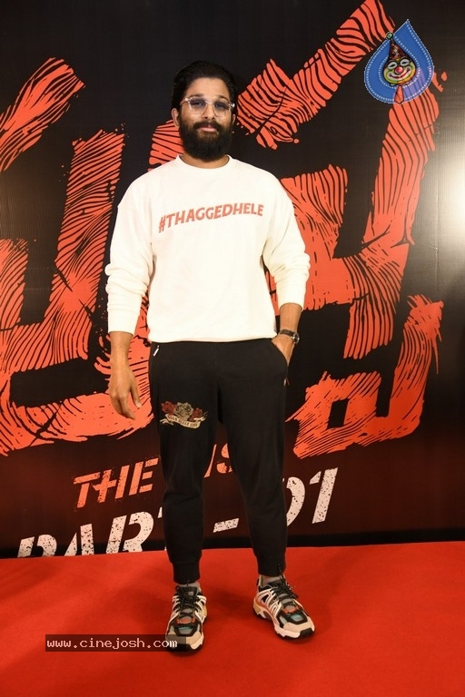 Allu Arjun Interview photos - 1 / 19 photos