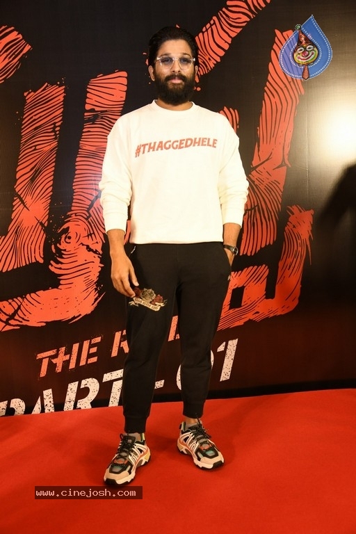 Allu Arjun Interview photos - 6 / 19 photos