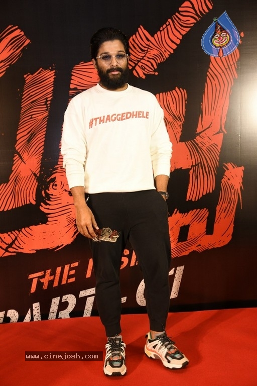 Allu Arjun Interview photos - 18 / 19 photos