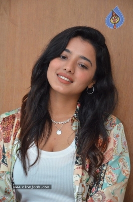 Ketika Sharma Interview Photos - 13 of 21