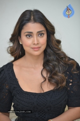 Shriya Saran Interview - 15 of 18