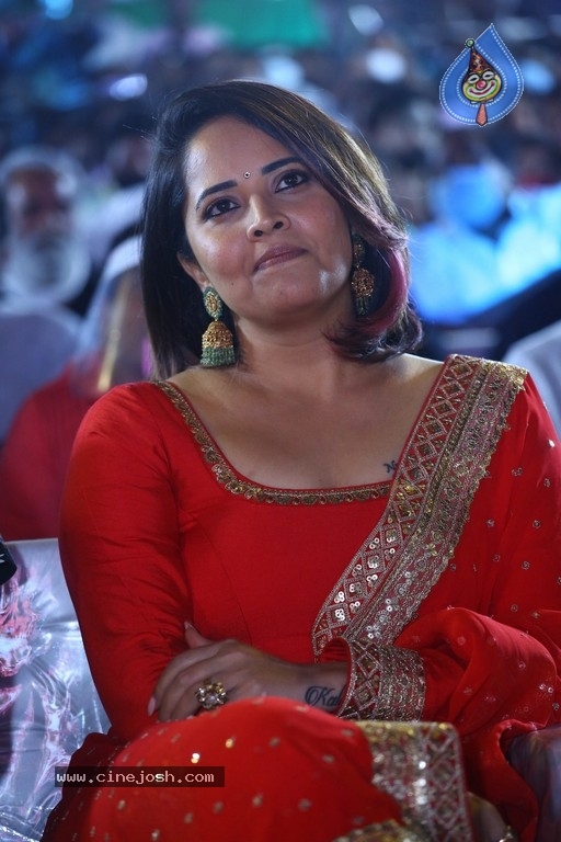 Pushpa Pre Release Event 02 - 19 / 42 photos