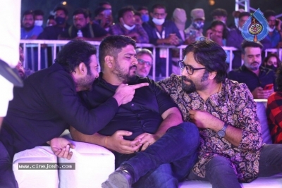 Radhe Shyam Pre Release Event 03 - 35 of 54