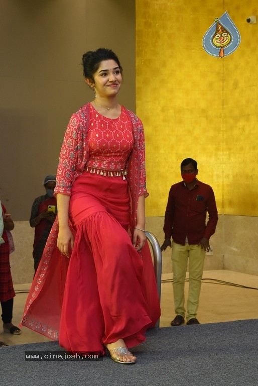 Shyam Singha Roy Movie Success Meet - 2 / 42 photos