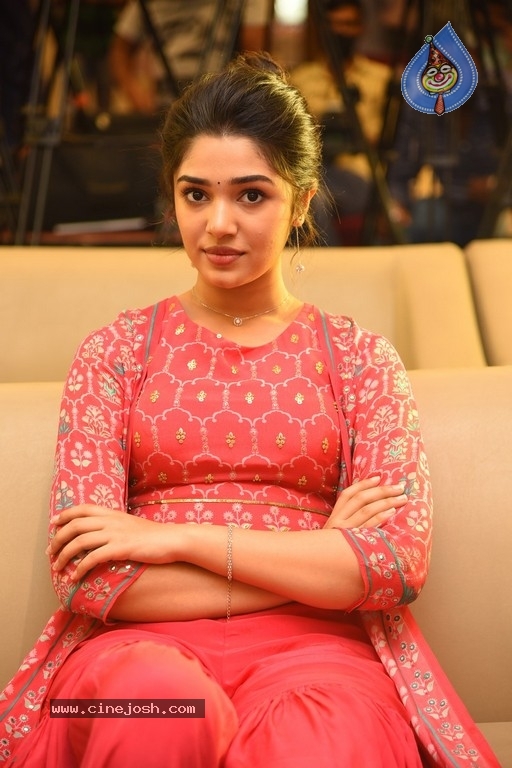 Shyam Singha Roy Movie Success Meet - 36 / 42 photos