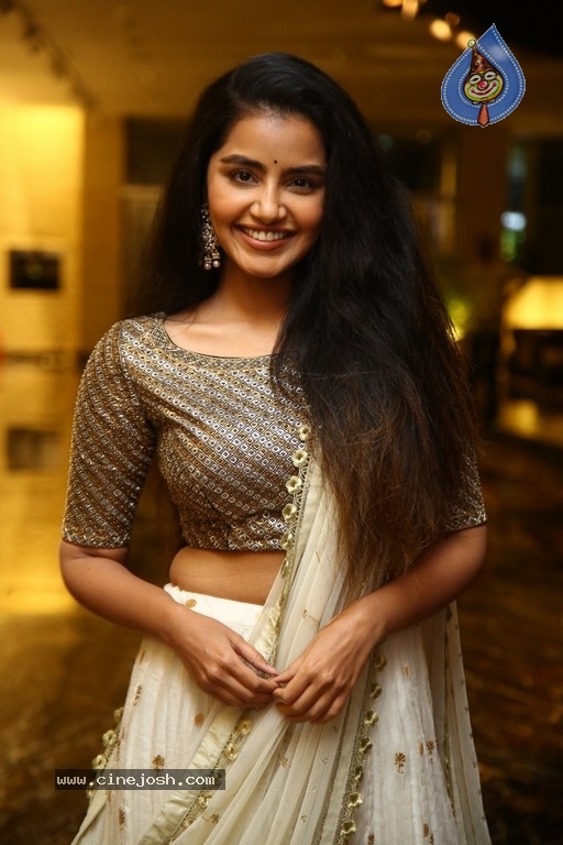 Anupama Parameswaran Photos - 8 / 18 photos