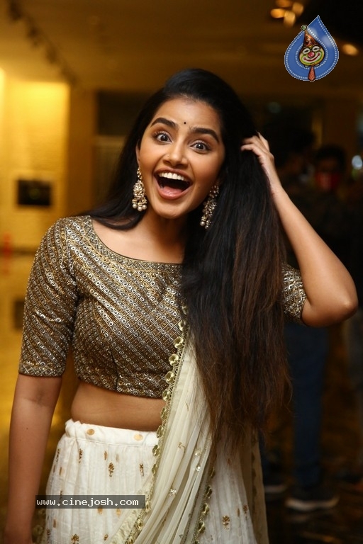 Anupama Parameswaran Photos - 12 / 18 photos