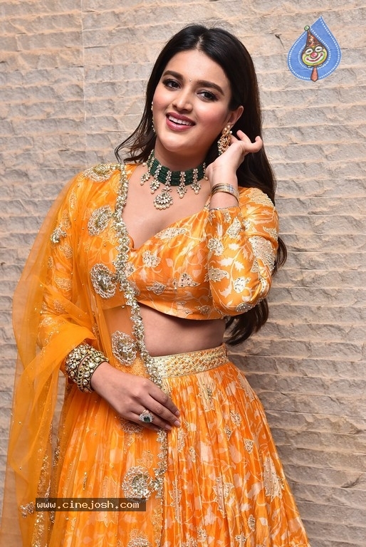 Nidhi Agarwal - 15 / 20 photos