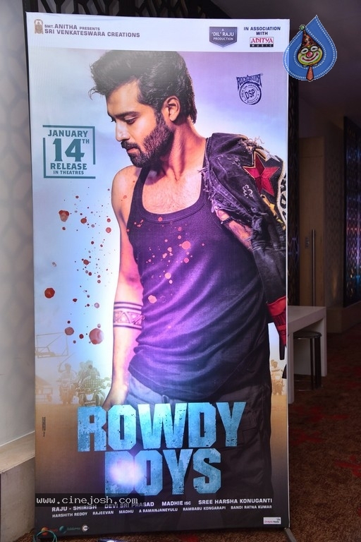 Rowdy Boys movie song launch - 26 / 41 photos
