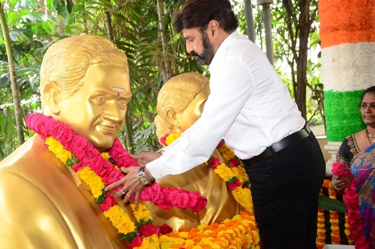 Balakrishna Flag hoisting at Basavatarakam Hospital - 7 / 21 photos