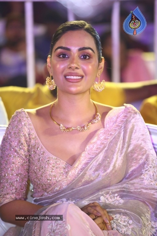 Bheemla Nayak Pre Release Event - 67 / 80 photos