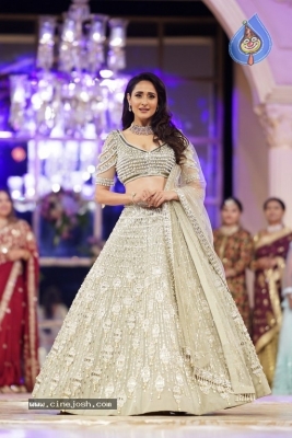 Pragya Jaiswal Photos - 11 of 19