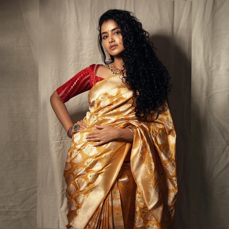 Anupama Parameswaran Photos - 4 / 4 photos