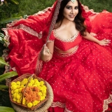 Nabha Natesh Photos