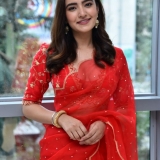 Rukshar Dhillon Photos