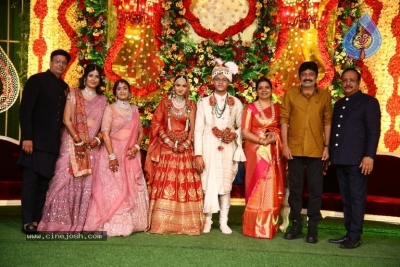 Mayank Gupta weds Sanjana - 18 of 35