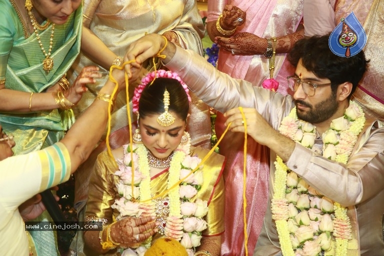 Sneha-Anmol Sharma Wedding Photos - 19 / 20 photos