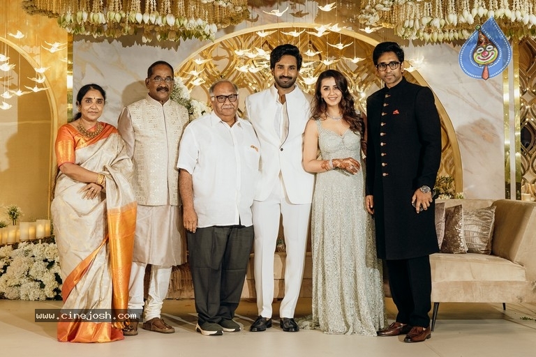 Aadhi Pinnisetty - Nikki Galrani Wedding Reception - 4 / 38 photos