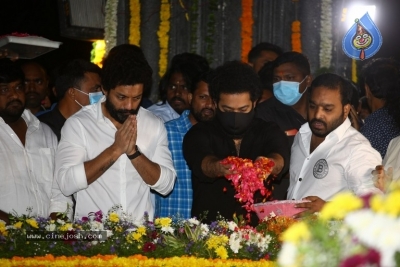 Jr NTR and Kalyan Ram At NTR Ghat - 4 of 34