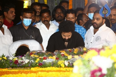 Jr NTR and Kalyan Ram At NTR Ghat - 8 of 34