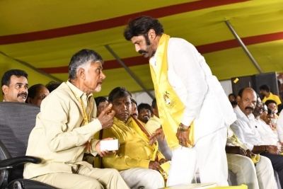 TDP Mahanadu photos - 2 of 14