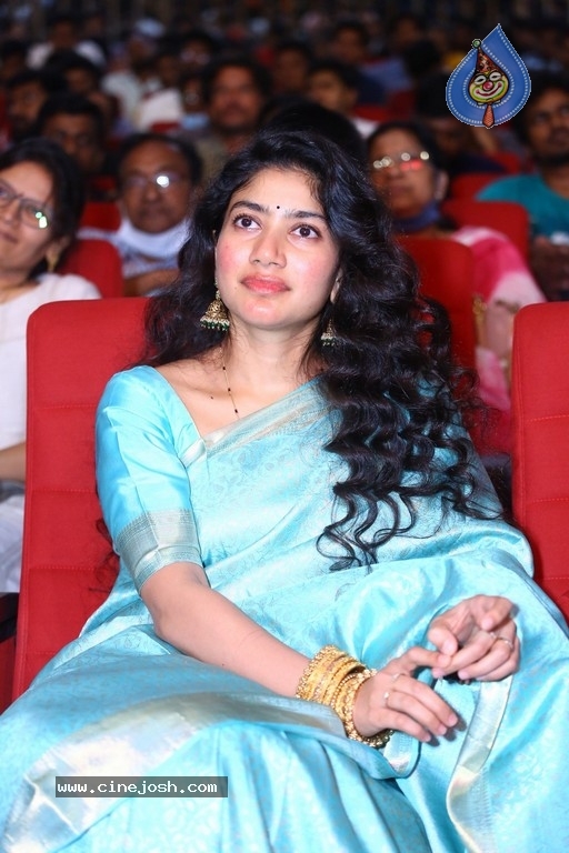 Viarata Parvam Pre Release Event - 35 / 64 photos