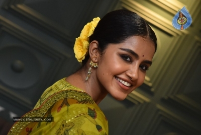 Anupama Parameswaran - 13 of 21