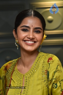 Anupama Parameswaran - 19 of 21