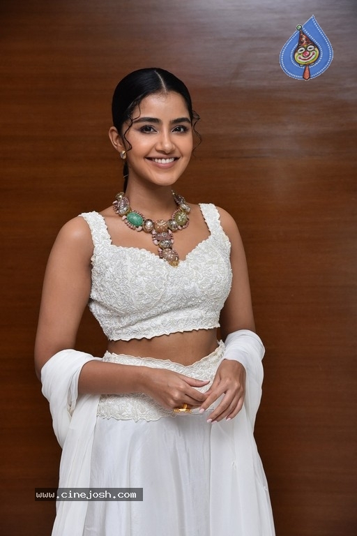 Anupama Parameswaran Photos - 1 / 18 photos