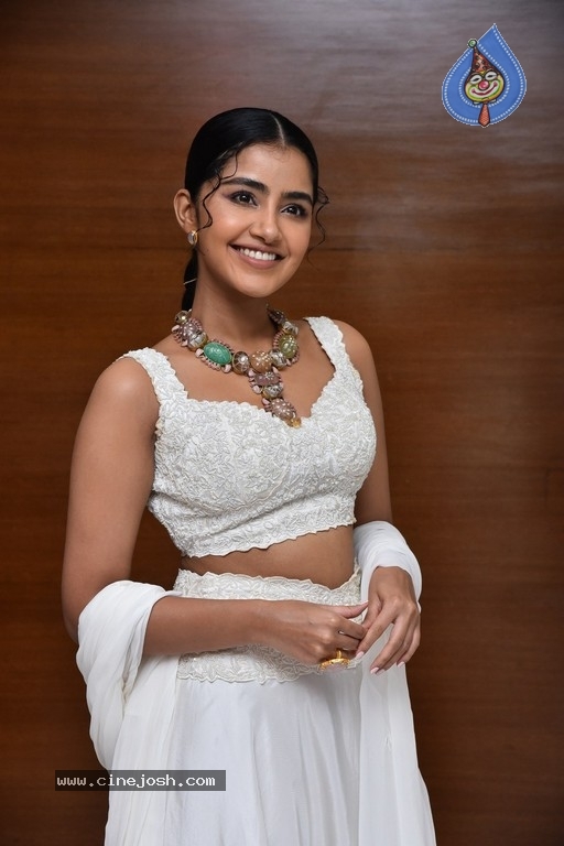 Anupama Parameswaran Photos - 2 / 18 photos