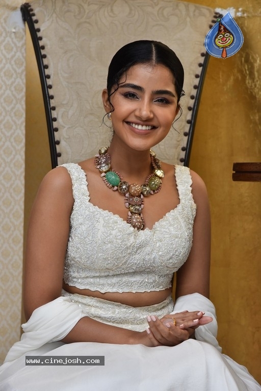 Anupama Parameswaran Photos - 6 / 18 photos