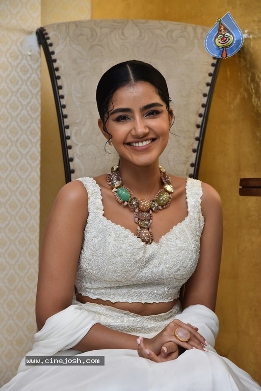 Anupama Parameswaran Photos - 15 / 18 photos