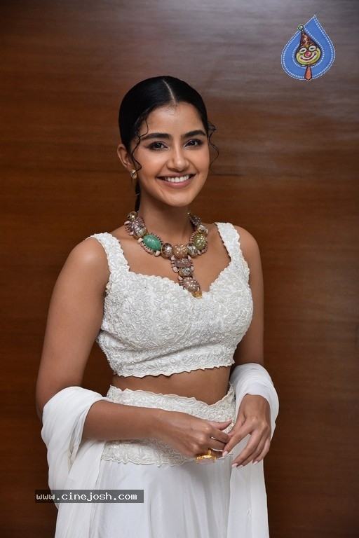 Anupama Parameswaran Photos - 16 / 18 photos