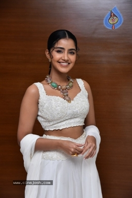 Anupama Parameswaran Photos - 18 of 18