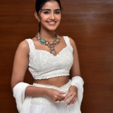 Anupama Parameswaran Photos