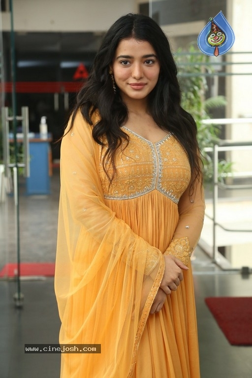 Ketika Sharma Interview Photos - 2 / 20 photos