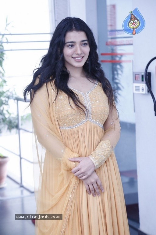 Ketika Sharma Interview Photos - 12 / 20 photos