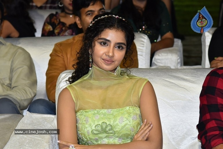 Karthikeya 2 Pre Release Event - 16 / 30 photos