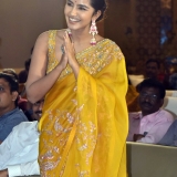 Karthikeya 2 Success Meet