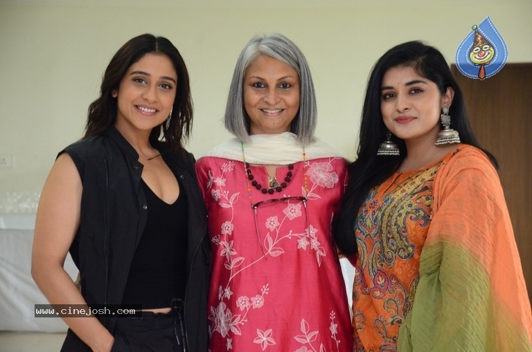 Saakini Daakini Movie Press Meet - 8 / 15 photos