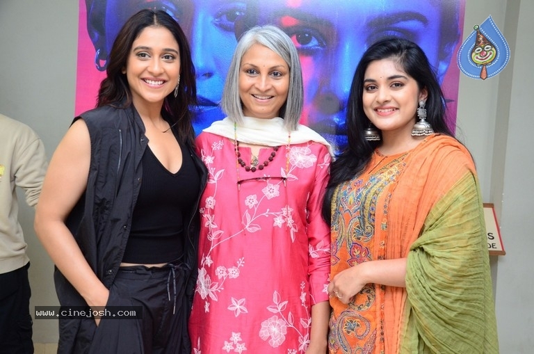 Saakini Daakini Movie Press Meet - 11 / 15 photos