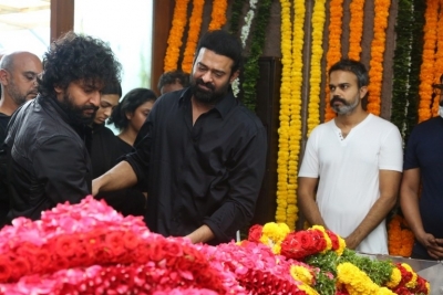 Celebrities Pays Tribute Krishnam Raju - 54 of 126