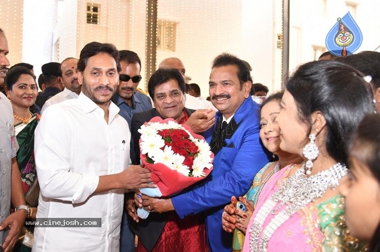 Ali Daughter Wedding Reception - 1 / 20 photos