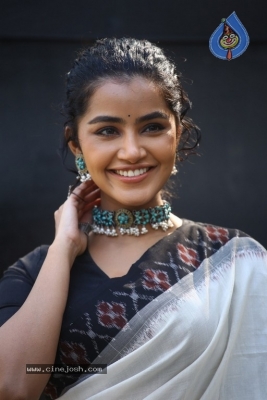 Anupama Parameswaran Photos - 13 of 21