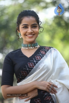 Anupama Parameswaran Photos - 21 of 21