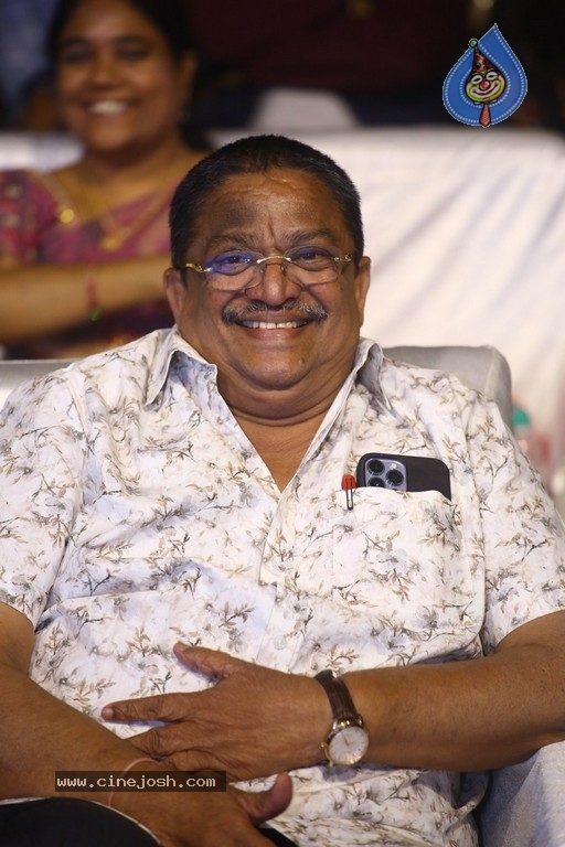 Gurthunda Seethakalam Pre Release Event - 3 / 42 photos