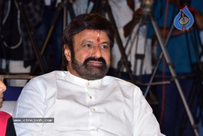 Veera Simha Reddy Success Celebrations - 1 of 41