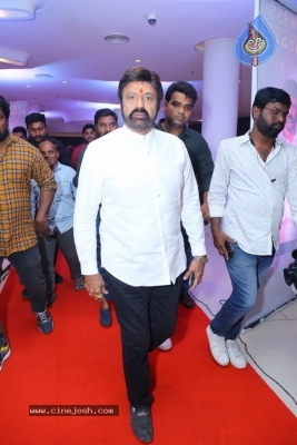 Veera Simha Reddy Success Celebrations - 27 of 41