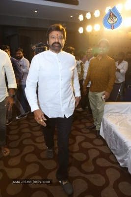 Veera Simha Reddy Success Celebrations - 34 of 41