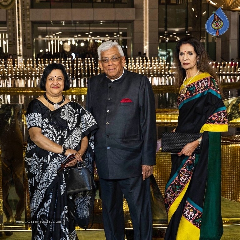 Bolly Celebs at NMAC Center Opening - 1 / 9 photos
